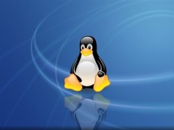 如何在Linux中正确“杀死”程序