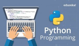 Python基础笔记一